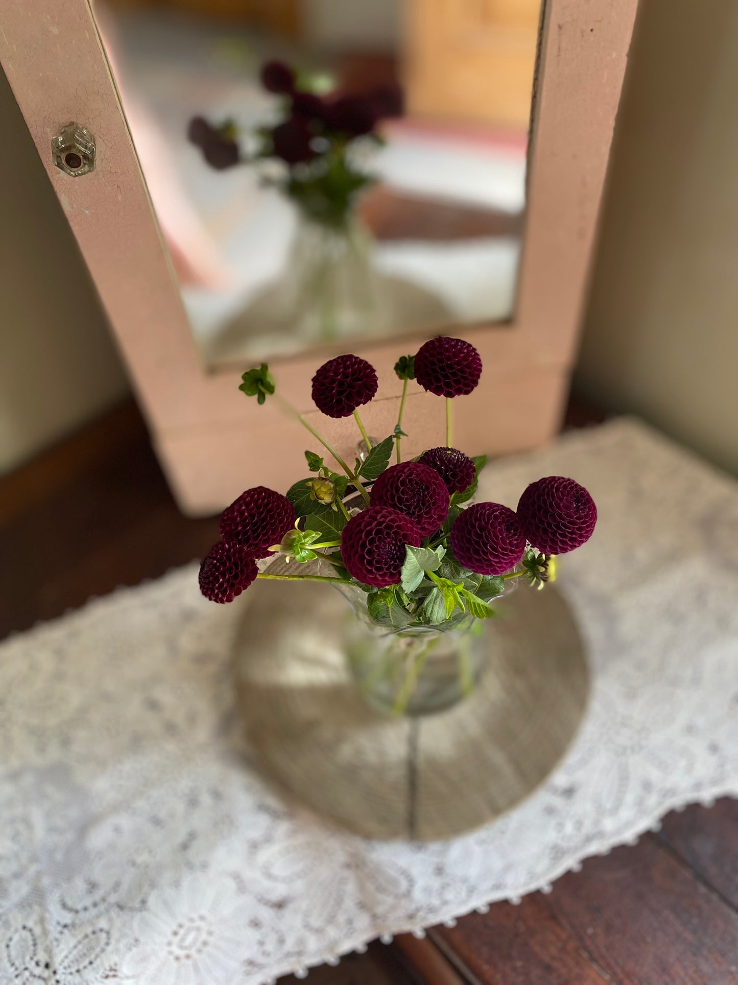 Moor Place Dahlia Tuber – Pompon, Purple, 2–3" Blooms