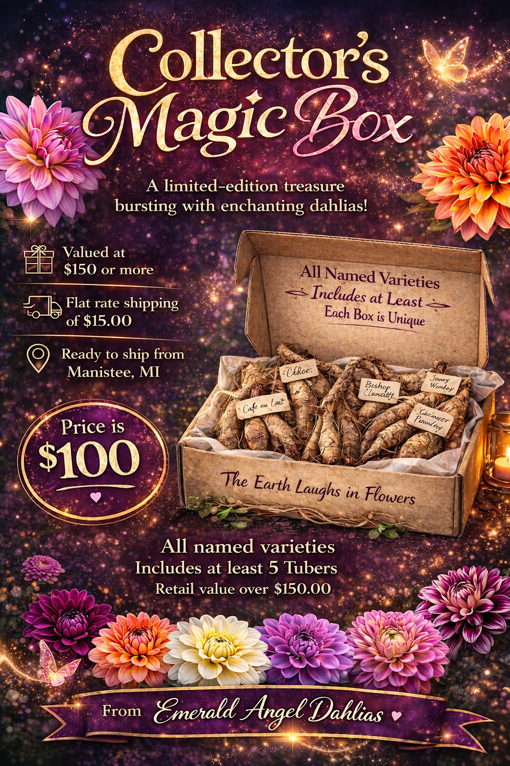 Collector’s Magic Box Dahlia Tuber Collection – 5 Unique Varieties