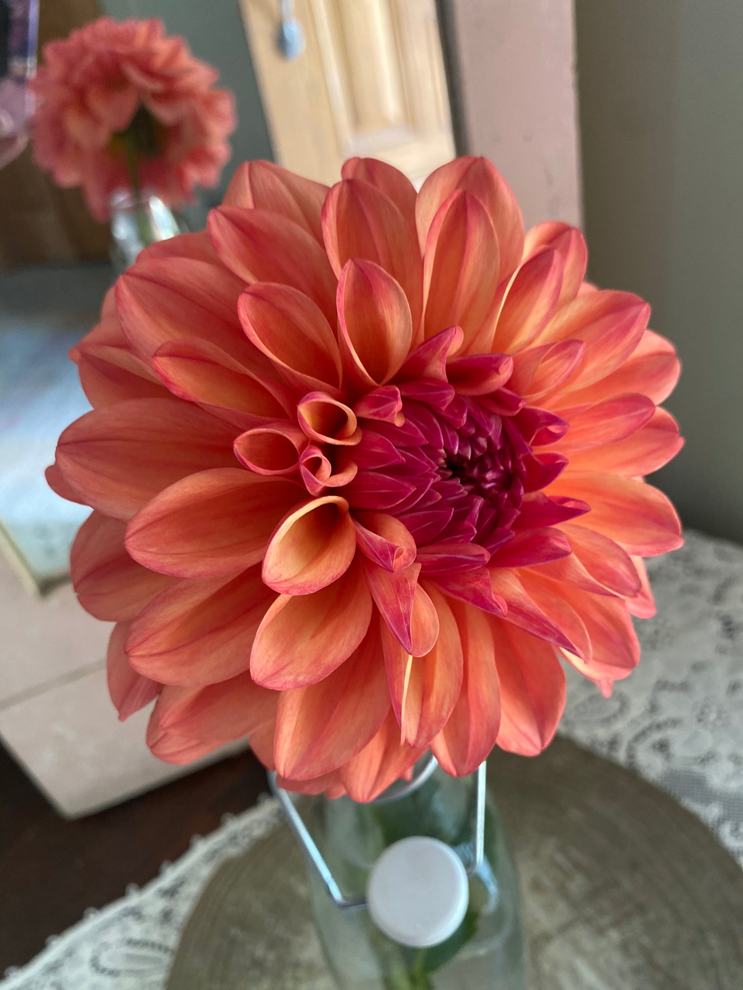 Ferncliff Copper Dahlia Tuber – Bronze Formal Decorative, 6–8" Blooms