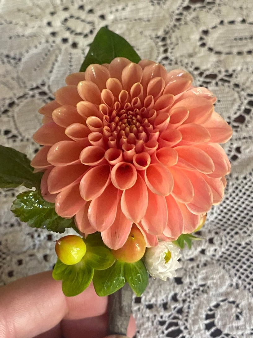 Hand holding a peach-colored flower against a lace background