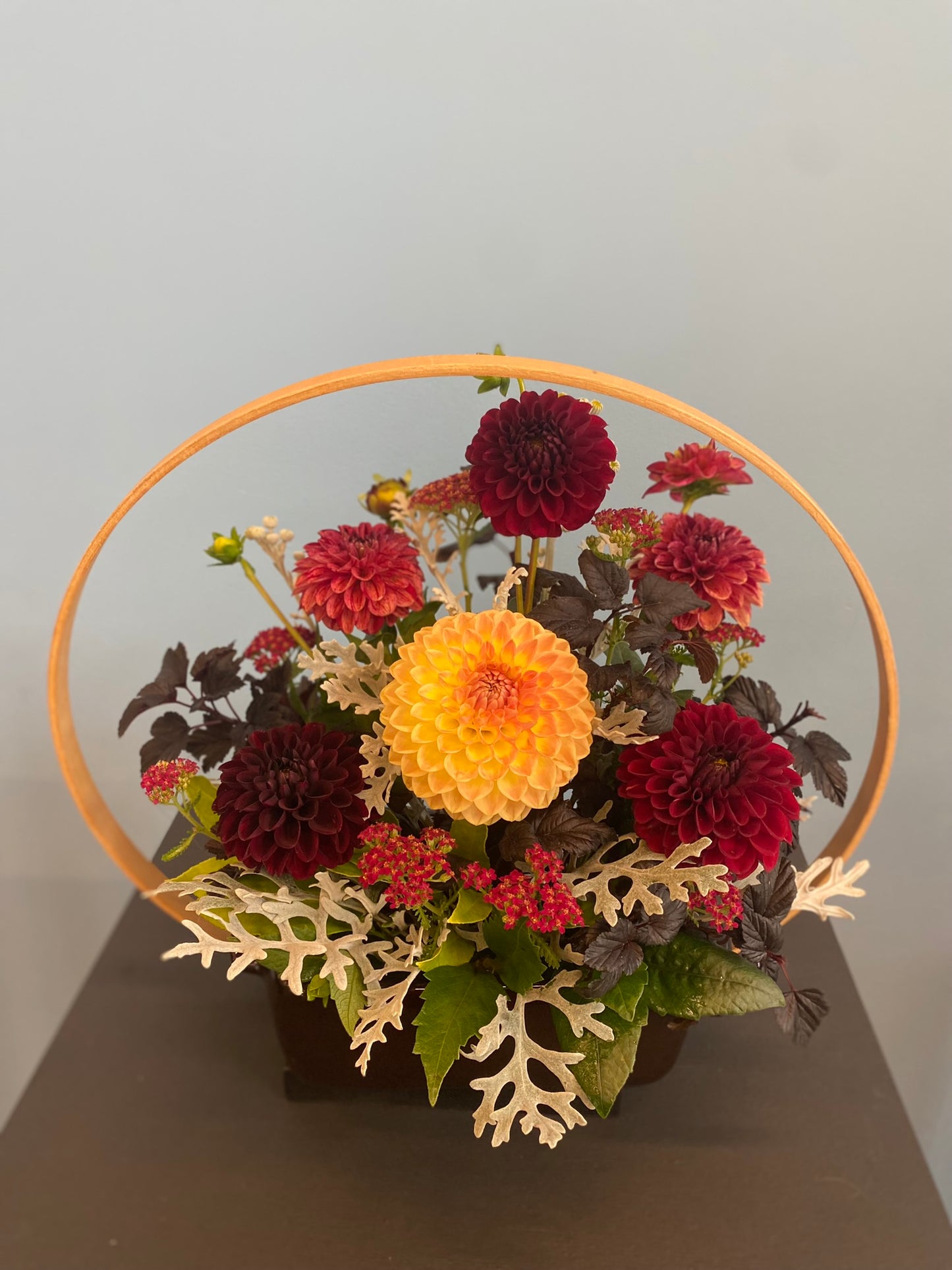 Blyton Softer Gleam Dahlia Tuber Ball Light Blend 3–4" Blooms