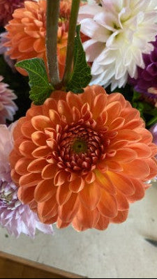 Bouquet of flowers including an orange dahlia and other colorful blooms.