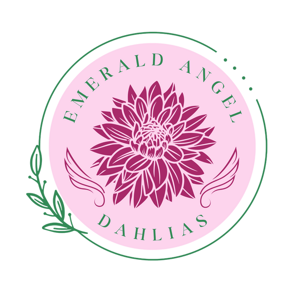 The Dahlia Shop by Emerald Angel Dahlias